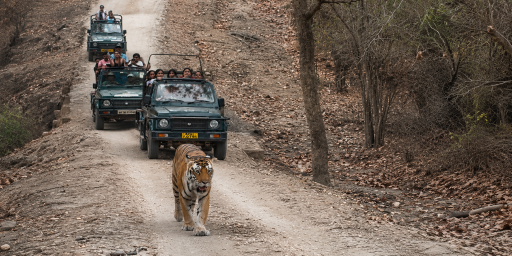 Kanha